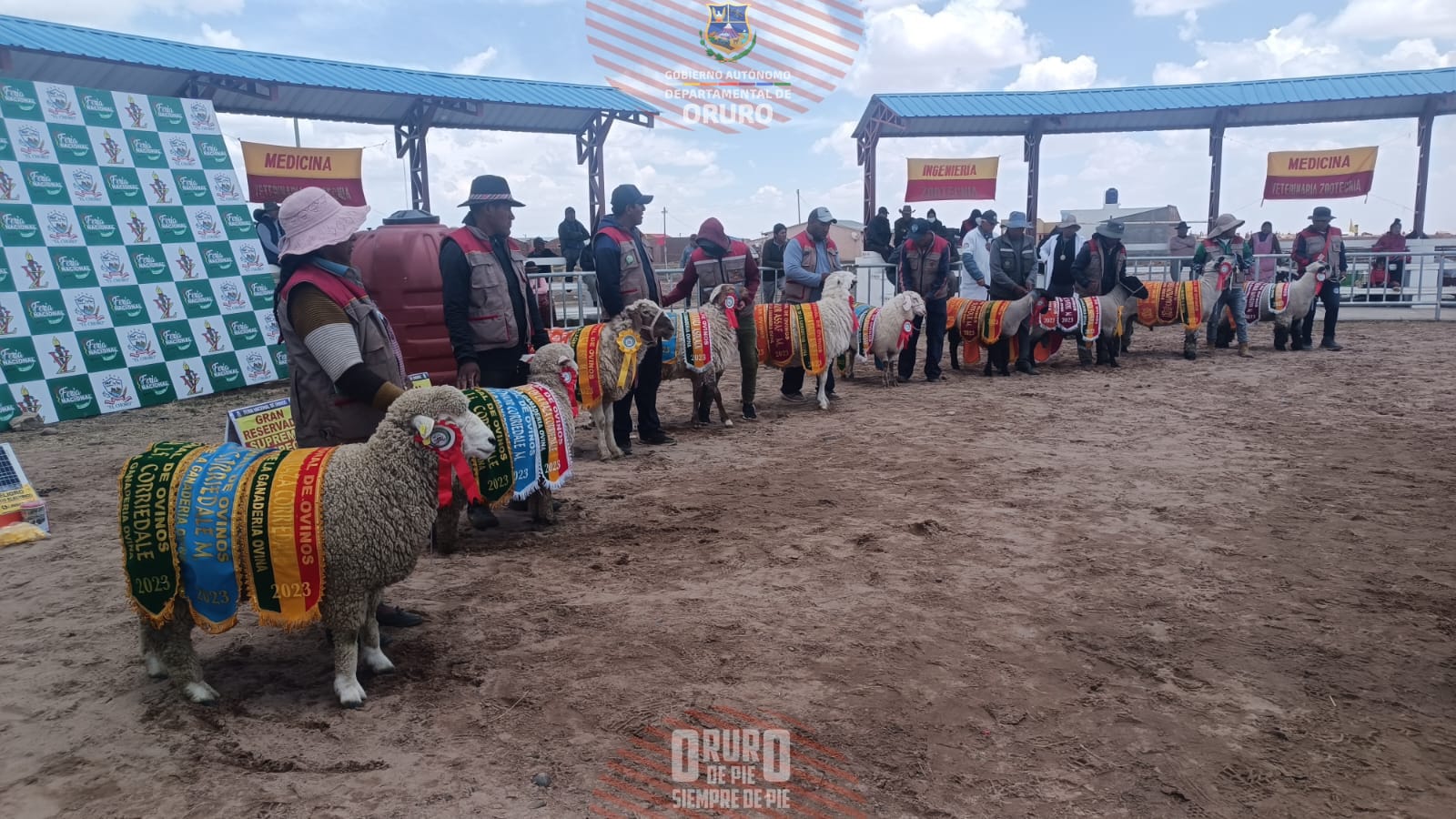 5ta Feria Nacional de Ovinos desarrollada en el municipio El Choro, actividad que conto con el respaldo del Gobierno Autónomo Departamental de Oruro, a través de la Secretaria Departamental de Desarrollo Productivo e Industria.
