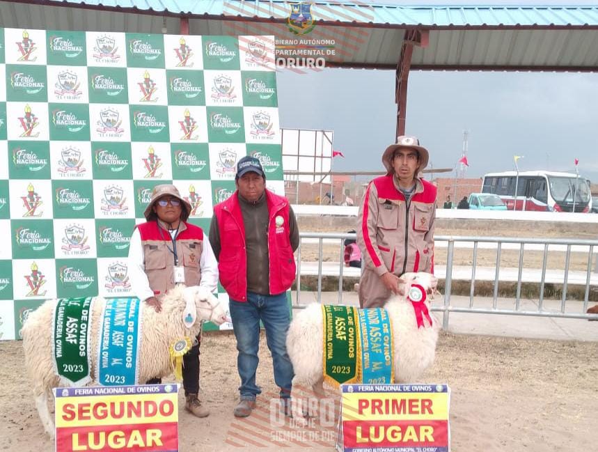 5ta Feria Nacional de Ovinos desarrollada en el municipio El Choro, actividad que conto con el respaldo del Gobierno Autónomo Departamental de Oruro, a través de la Secretaria Departamental de Desarrollo Productivo e Industria.